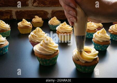Hand zeigt, wie man Cupcakes mit Buttercreme dekorieren kann Stockfoto