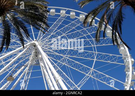 Riesenrad, Porto Antico (Alter Hafen). Genua. Italien. Stockfoto