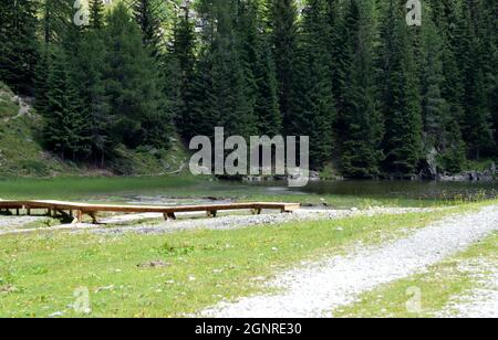 Erhöhter Gehweg im sumpfigen Bereich des kleinen Klapfsees auf einer Höhe von 1690 Metern im Obertilliachertall Stockfoto