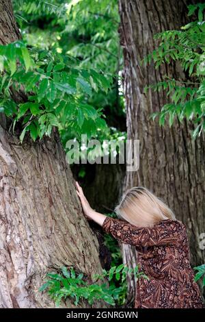 Naturtherapie. Frau genießt das Waldbaden, auch bekannt als Shinrin-Yoku. Ljubljana. Slowenien. Stockfoto