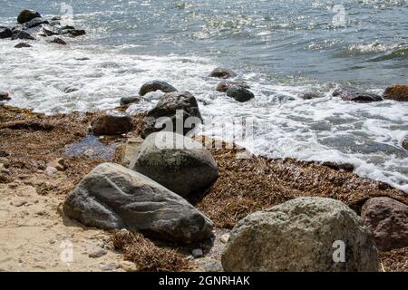 Nahaufnahme von unregelmäßigen Blöcken und ausgespülten Algen am Sandstrand der Ostseeküste. Stockfoto