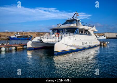 Katamaran für den Transfer von Passagieren zur Tuna Tour in L´Ametlla de Mar Tarragona Katalonien Spanien. Sie können zwischen Hunderten von mediterranen Bluefin tun schwimmen Stockfoto