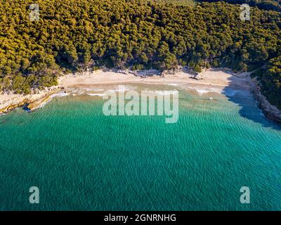 Luftaufnahme von Cala de la Roca plana in der Nähe des Dorfes Begur in Tarragona in Marquesa Wäldern von Katalonien Spanien. Gut geschützt durch einige gelbliche Ca Stockfoto