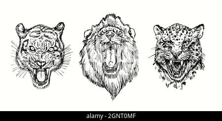 Wild Angry Collection, Tiger, Lion, Geparden knurrende Schnauze. Tusche schwarz-weiße Doodle Zeichnung im Holzschnitt-Stil. Stockfoto
