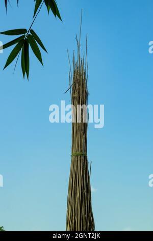 White Saluyot, Lalo oder Jute Stick Bundle bietet einfache, weiße Jute-Sticks mit verschiedenen Längen und Stärken Stockfoto