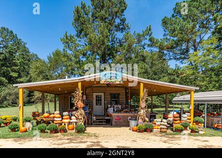 Georgiana, Alabama, USA - 24. September 2021: Jones produce Roadside stand near the Interstate in Georgiana cocked out for herbstlich with many sorted types Stockfoto