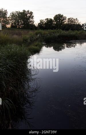 Scioto Audubon Metro Park, Columbus, Ohio Stockfoto