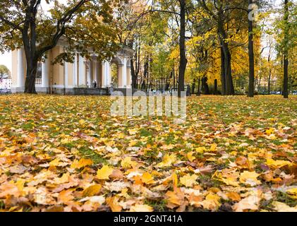 Mikhailovsky Garten (Mikhailovsky Sad) und Rossi Pavillon im Herbst, Sankt Petersburg, Russland Stockfoto