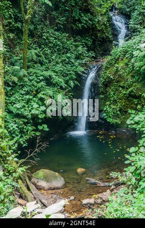 San Luis Wasserfall in einem Nebelwald von Reserva Biologica Bosque Nuboso Monteverde, Costa Rica Stockfoto