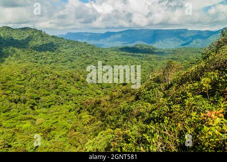 Nebelwald bedeckt Reserva Biologica Bosque Nuboso Monteverde, Costa Rica Stockfoto