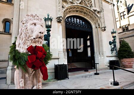 Eine mit einem Weihnachtsbogen geschmückte Statue eines Schutzlöwens am Eingang des Biltmore Estate, das im Herbst in Asheville, North Carolina, im Privatbesitz der Familie Vanderbilt ist. Das Haus ist das größte Privathaus in Amerika mit über 250 Zimmern. Stockfoto