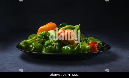 habanero Chilischoten, reife und unreife heiße Sorte von Capsicum chinense, grünen, orangen und roten Früchten auf einem Teller Stockfoto