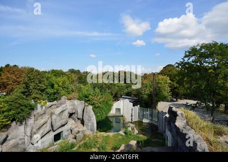 Wien, Österreich. Tiergarten Schönbrunn in Wien. Blick über das Eisbärengehege Richtung Wien Stockfoto