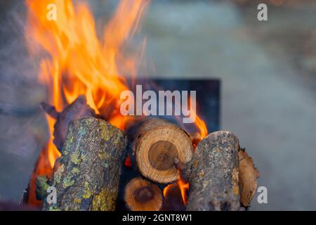 Brennende Kirschbäume auf dem Grill, Kochen Kohlen für den Grill Stockfoto