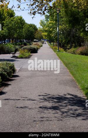 Ein Gehweg im Railroad Park in Birmingham, Alabama Stockfoto