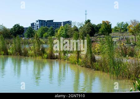 Ein Teich im Eisenbahnpark in Birmingham, Alabama Stockfoto