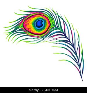 Stilisierte Illustration der Pfauenfeder. Bild für Design oder Dekoration. Stock Vektor