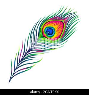 Stilisierte Illustration der Pfauenfeder. Bild für Design oder Dekoration. Stock Vektor