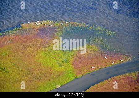 Frankreich, Morbihan (56), Baie de Quiberon, Golfe du Morbihan, Presqu'île de Rhuys, Arzon, Port-Navalo (vue aérienne) // Frankreich, Morbihan, Baie de Quiber Stockfoto