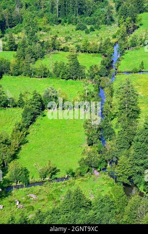 France, Deux-Sèvres (79), le Marais Poitevin, la Venise Verte, Coulon (vue aérienne) // France, Deux-Sèvres, Marais Poitevin, Green Venice (Luftbild vi Stockfoto