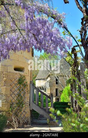 Frankreich, Dordogne (24), Périgord Noir, vallée de la Vézère, Thonac, château de Losse // Frankreich, Dordogne (24), Périgord Noir, vallée de la Vézère, Thon Stockfoto