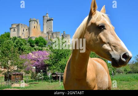 Frankreich, Lot-et-Garonne (47), Bonaguil, château de Bonaguil // Frankreich, Lot et Garonne, Bonaguil, das Schloss Stockfoto