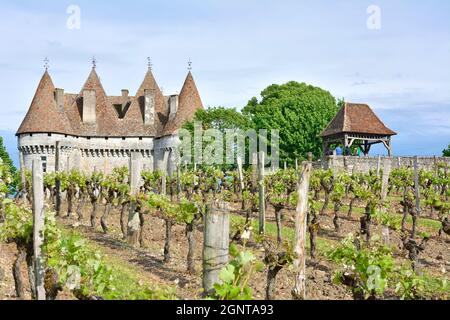 Frankreich, Dordogne (24), Périgord Pourpre, Monbazillac, Chateau de Monbazillac au Milieu de ses vignes // Frankreich, Dordogne, Purple Perigord, das Schloss Stockfoto