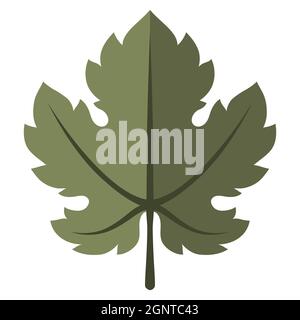 Stilisierte Illustration des Weintraubenblattes. Bild für Design oder Dekoration. Stock Vektor