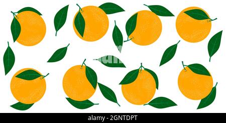 Orangen mit Blättern. Vektorgrafik auf weißem Hintergrund. Stock Vektor