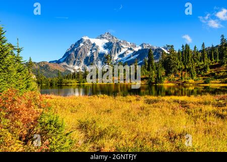 Mount Shuksan steigt hinter Picture Lake mit einem Vordergrund von hellen Herbstfarben und unter einem blauen Himmel Stockfoto