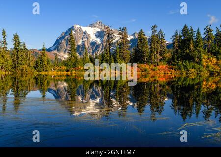 Mount Shuksan im North Cascades National Park spiegelt sich in einem See mit brillanten Herbstfarben, die einen ikonischen Blick im US-Bundesstaat Washington schaffen Stockfoto