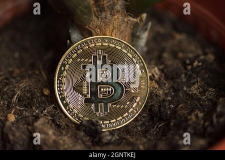 bitcoin auf dem Boden Nahaufnahme Stockfoto