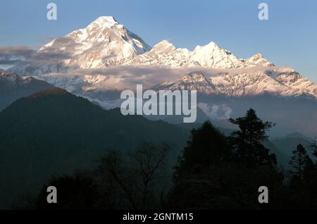 Abends Panoramablick auf den Berg Dhaulagiri - Nepal Stockfoto