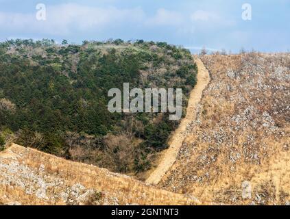 Feuerbreak zwischen Karst und Wald auf dem Akiyoshi-dai-Hochplateau, Japan Stockfoto