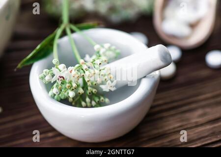 Baldrian-Tabletten mit beruhigenden Eigenschaften. Pharmazeutisches Glas mit Pillen auf einem Holztisch. Kochen Baldrianwurzel in einem Mörser für Kräuterelixiere. S Stockfoto