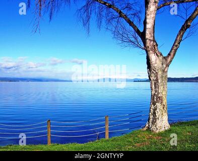 Winter am Ufer des Lake Taupo in Taupo, Neuseeland. Es ist der größte See von Fläche in Neuseeland. Der Vulkan gilt derzeit als ruhend und nicht ausgestorben, da er moderate Fumarole-Aktivität und heiße Quellen entlang der Ufer des Sees hat. Stockfoto