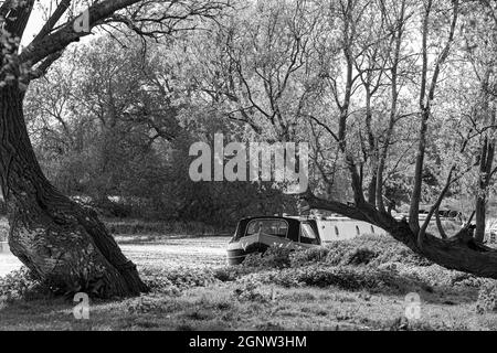 Barge auf dem Fluss Great Ouse in der Nähe von St Ives in Cambridgehsire Stockfoto