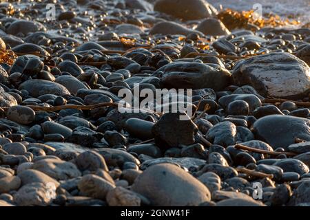 Auf der Suche nach Jade an einem Strand in Big Sur. Stockfoto