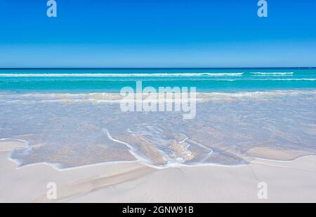 Malerischer Blick auf einen weißen Sandstrand und das türkisfarbene Wasser des Indischen Ozeans in Wedge, Western Australia, Australien Stockfoto