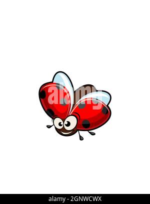 Niedliche Cartoon Insekten Bug fliegen Bug Honig Biene Hummel Libelle Schmetterling Insekten isoliert auf weißem Hintergrund Stockfoto