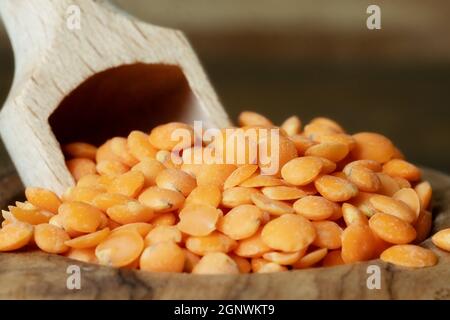 Nahaufnahme der roten Linsen in einer Schüssel mit einer Messlöffel. Getrocknete rote Linsen in einer Holzschale auf Holzgrund. Stockfoto