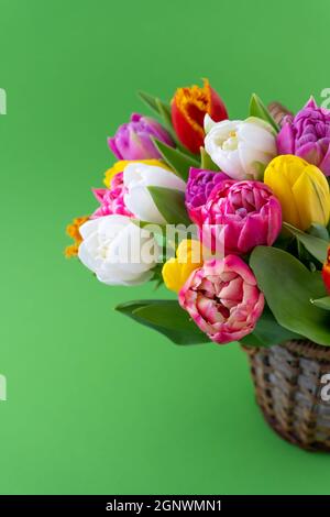 Mix aus Frühlingsblumen. Hintergrund mit Blumen Tulpen close-up verschiedenen Farben. Mehrfarbige Frühlingsblume. Geschenk. Rot, Rosa, Weiß und Gelb Stockfoto