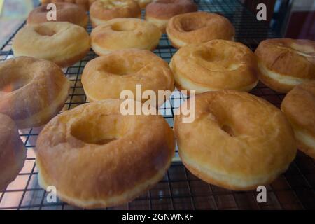 Frische, unbeschichtete Donuts im Display-Fach Stockfoto