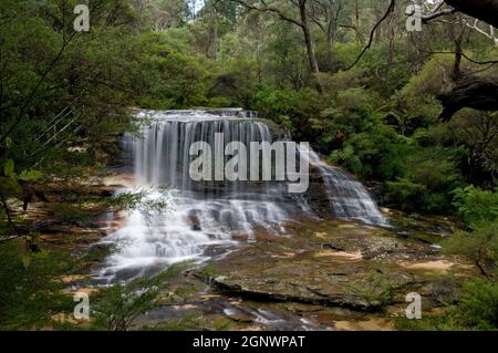 Weeping Rock Falls, Upper Wentworth Falls, Blue Mountains National Park, NSW, Australien, Credit: Chris L Jones / Avalon Stockfoto