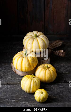 Kleine gelbe Kürbisse auf dunklem Holzhintergrund. Stockfoto