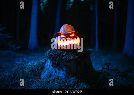 Kürbislaterne brennt im dunklen Wald an den Halloween-Feiertagen. Stockfoto