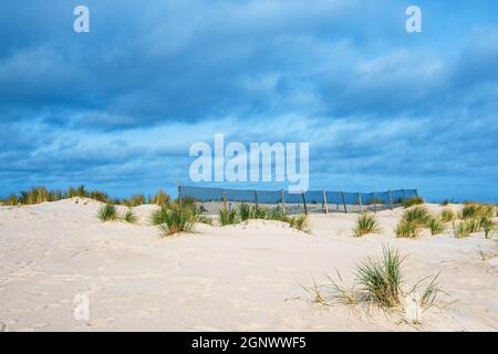 Düne am Ufer der Ostsee in Warnemünde, Deutschland. Stockfoto