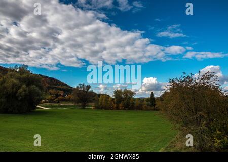 Bunte Blätter, grüne Wiesen und der wolkig-blaue Himmel Stockfoto