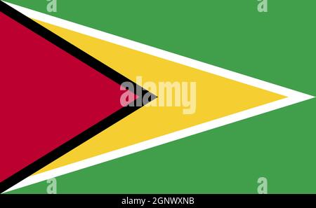 Guyana Nationalflagge in exakten Proportionen - Vektor-Illustration Stockfoto