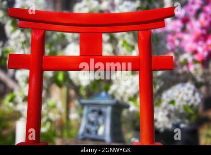 Torii-Tor mit Birnen- und Kirschblüten im Hintergrund Stockfoto